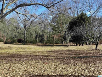 Lake Lot For Sale in Wilsonville, Alabama