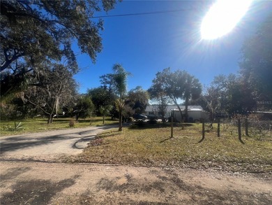 (private lake, pond, coastal) Home For Sale in Fruitland Park Florida