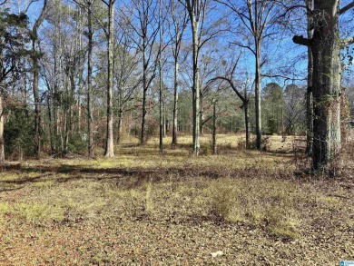 Lake Lot For Sale in Wilsonville, Alabama