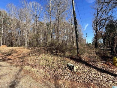 Lake Lot For Sale in Wilsonville, Alabama