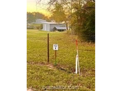 Come take a look at this waterfront lot. Has a small cabin - photo 8