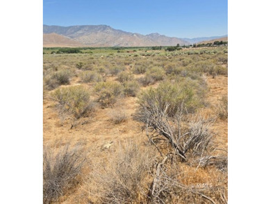 Lake Isabella Acreage For Sale in Weldon California