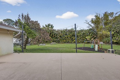 Wonderful sanctuary sheltered with palms, high hedges, & fruit - photo 38