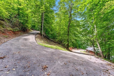 Lake Home For Sale in Rockwood, Tennessee