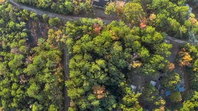 Lake Sam Rayburn  Lot For Sale in Brookeland Texas