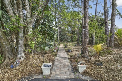 Wonderful sanctuary sheltered with palms, high hedges, & fruit - photo 46