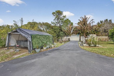 Wonderful sanctuary sheltered with palms, high hedges, & fruit - photo 50