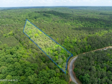 Lake Acreage For Sale in Rockingham, North Carolina