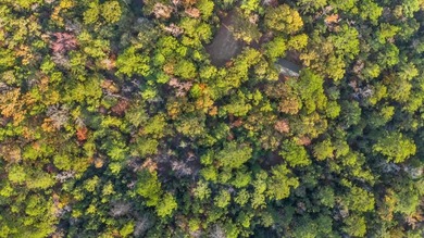 Lake Sam Rayburn  Lot For Sale in Brookeland Texas