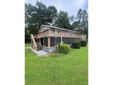 Lake Home For Sale in Vienna, Georgia