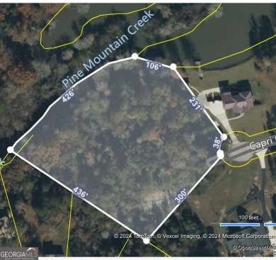 Lake Capri Acreage For Sale in Rockdale Georgia