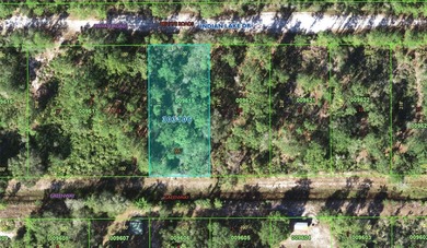 Lake Weohyakapka Lot For Sale in Indian Lake Estates Florida