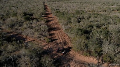 This is a gorgeous example of a South Texas virgin brush ranch - photo 11