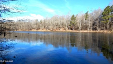 DeSoto County. This 83.562 surveyed acres is the perfect - photo 4