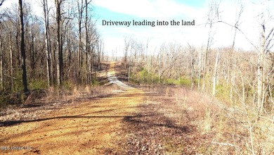 DeSoto County. This 83.562 surveyed acres is the perfect - photo 6