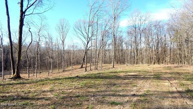 DeSoto County. This 83.562 surveyed acres is the perfect - photo 7