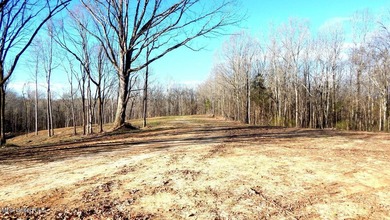 DeSoto County. This 83.562 surveyed acres is the perfect - photo 8