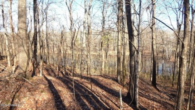 DeSoto County. This 83.562 surveyed acres is the perfect - photo 9