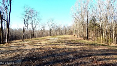 DeSoto County. This 83.562 surveyed acres is the perfect - photo 10