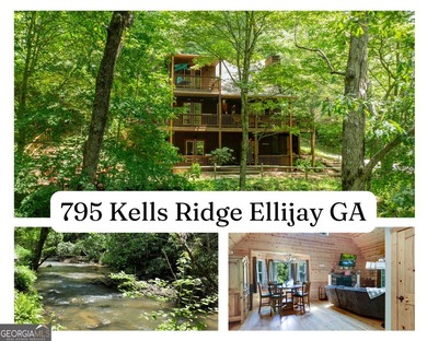 (private lake, pond, coastal) Home For Sale in Ellijay Georgia