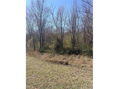 Dreaming of Lake life, here's your opportunity to. This vacant - photo 1