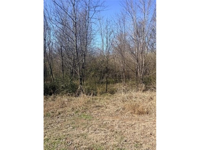 Dreaming of Lake life, here's your opportunity to. This vacant - photo 2