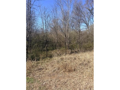Dreaming of Lake life, here's your opportunity to. This vacant - photo 3