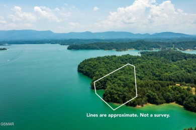 Lake Acreage For Sale in Dandridge, Tennessee