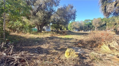 Spacious 0.32-acre vacant parcel in North Fort Myers. Zoned for - photo 3
