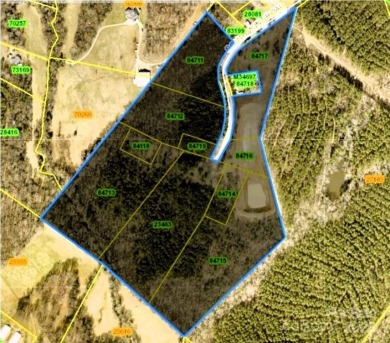 Lake Acreage For Sale in Iron Station, North Carolina