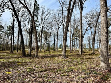 Beautiful 3.48 acres, cleared and ready for your new home. This - photo 1