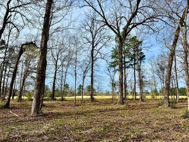 Beautiful 3.48 acres, cleared and ready for your new home. This - photo 2