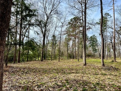 Beautiful 3.48 acres, cleared and ready for your new home. This - photo 3