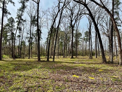 Beautiful 3.48 acres, cleared and ready for your new home. This - photo 5