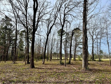 Beautiful 3.48 acres, cleared and ready for your new home. This - photo 7