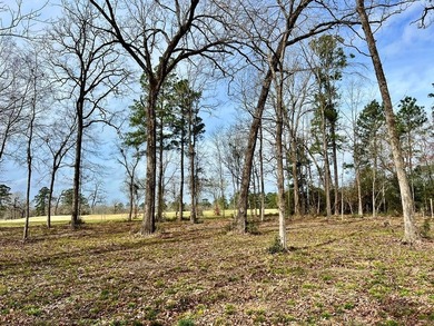 Beautiful 3.48 acres, cleared and ready for your new home. This - photo 8