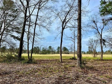 Beautiful 3.48 acres, cleared and ready for your new home. This - photo 9