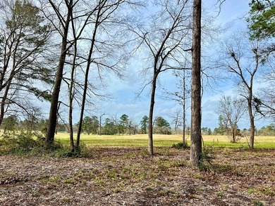 Beautiful 3.48 acres, cleared and ready for your new home. This - photo 10
