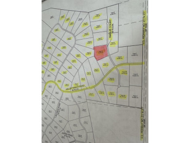 Lake Lot For Sale in Del Rio, Texas