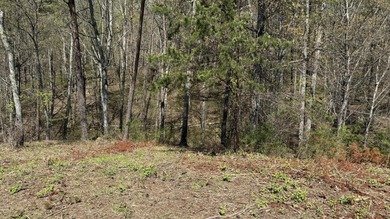 Cherokee Lake Lot For Sale in Bean Station Tennessee