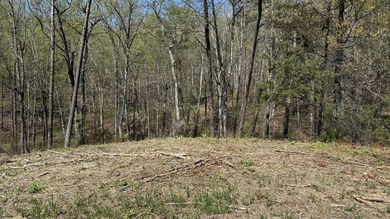 1.5+ Acre Lot in Gated Lakefront Community Overlooking Cherokee - photo 2