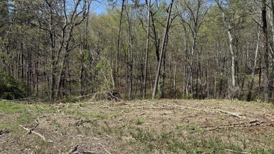 1.5+ Acre Lot in Gated Lakefront Community Overlooking Cherokee - photo 3