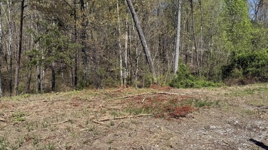 1.5+ Acre Lot in Gated Lakefront Community Overlooking Cherokee - photo 4