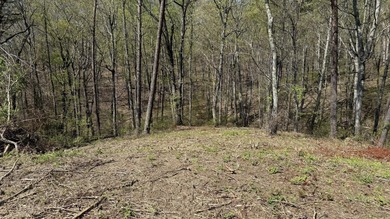 1.5+ Acre Lot in Gated Lakefront Community Overlooking Cherokee - photo 5