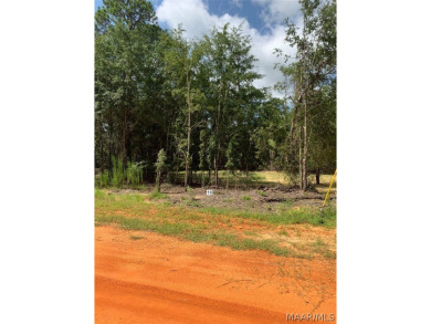 William Dannelly Reservoir Lot For Sale in Camden Alabama