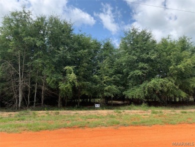 William Dannelly Reservoir Lot For Sale in Camden Alabama