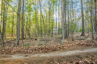 Build your Adirondack retreat on this .9-acre level lot located - photo 1