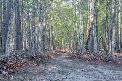Build your Adirondack retreat on this .9-acre level lot located - photo 2