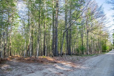 Build your Adirondack retreat on this .9-acre level lot located - photo 3