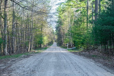 Build your Adirondack retreat on this .9-acre level lot located - photo 5
